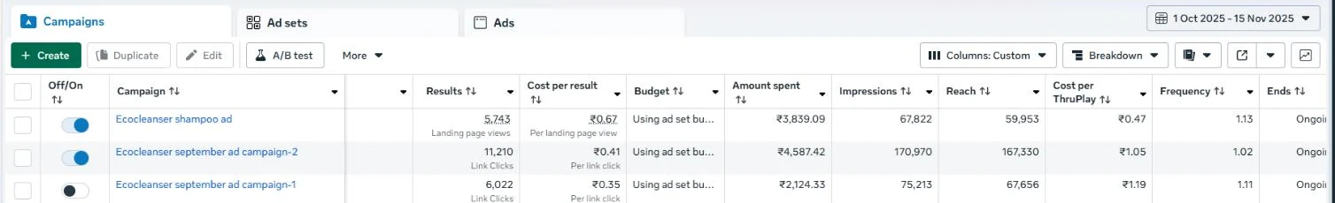Meta Ads Manager campaign table for EcoCleanser, 1 Oct – 15 Nov 2025